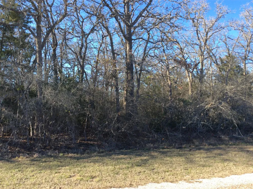 320 Alvina Ulich Street Somerville, TX 77879