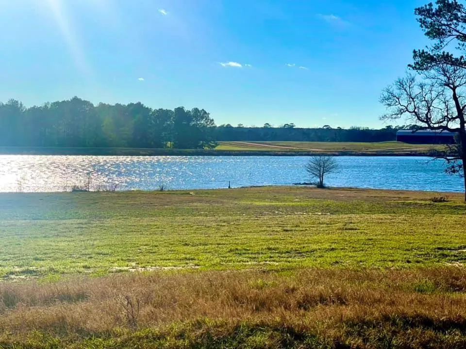29 E Lakeland Court Hillister, TX 77624
