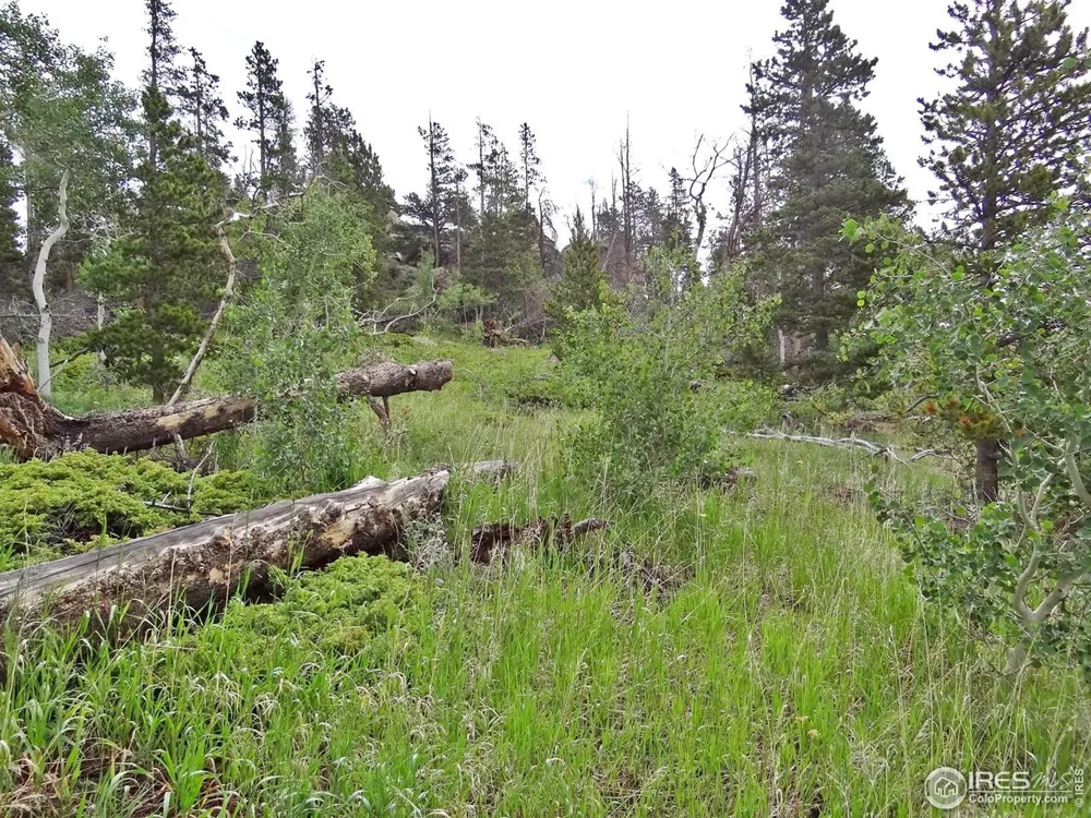 1683 Osage Trail Red Feather Lakes, CO 80545