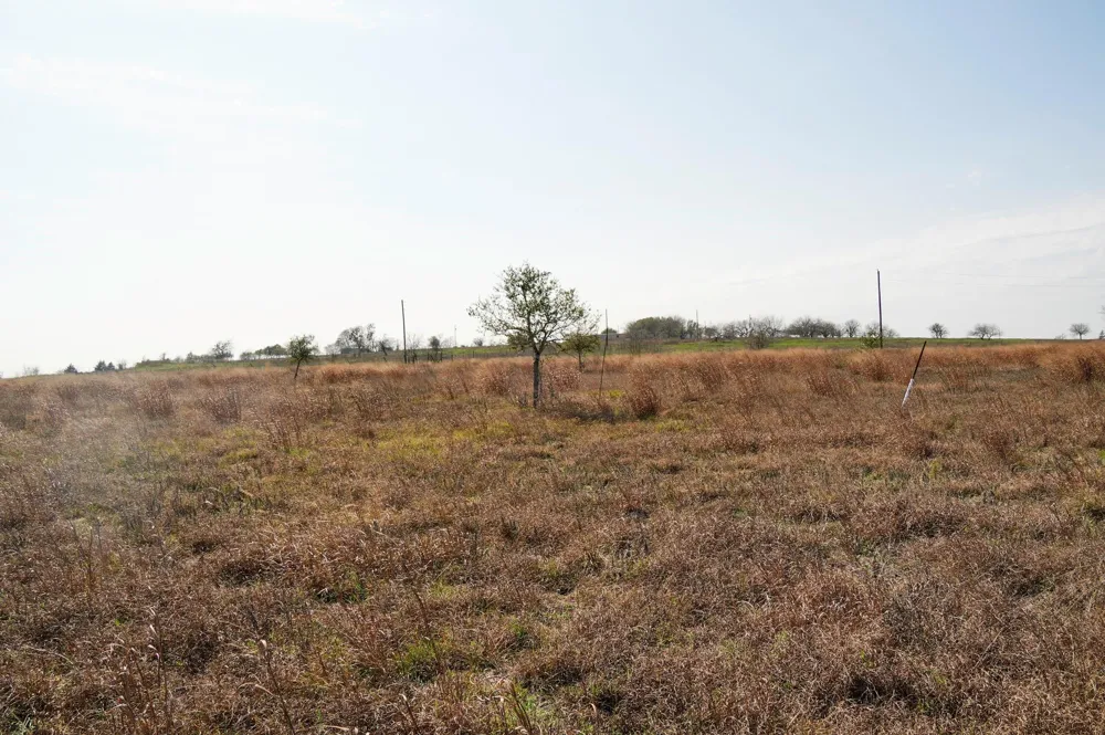 6455 Gebert Road Schulenburg, TX 78949