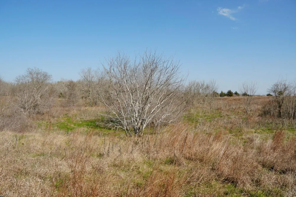 6455 Gebert Road Schulenburg, TX 78949