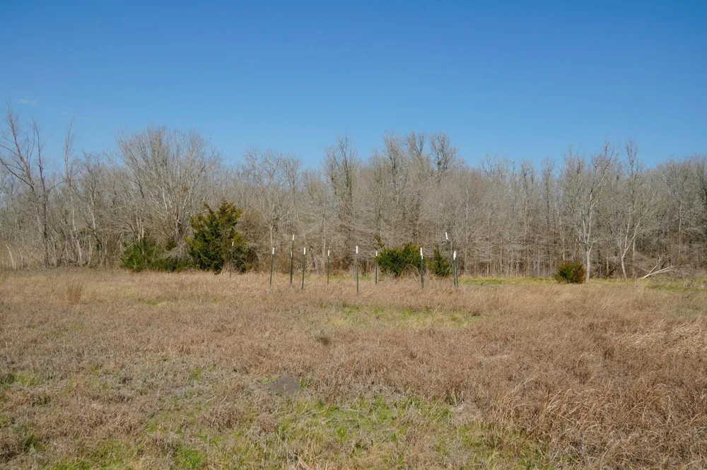 6455 Gebert Road Schulenburg, TX 78949