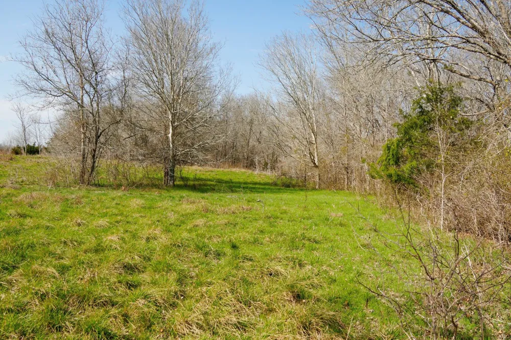 6455 Gebert Road Schulenburg, TX 78949
