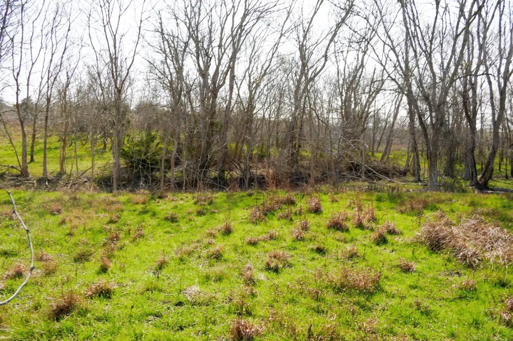 6455 Gebert Road Schulenburg, TX 78949