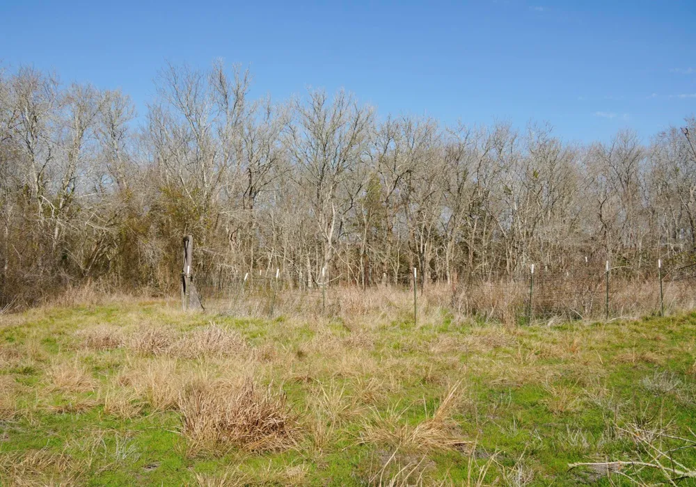 6455 Gebert Road Schulenburg, TX 78949