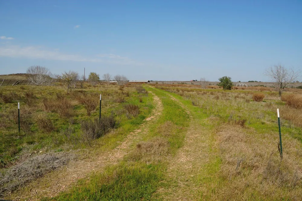 6455 Gebert Road Schulenburg, TX 78949
