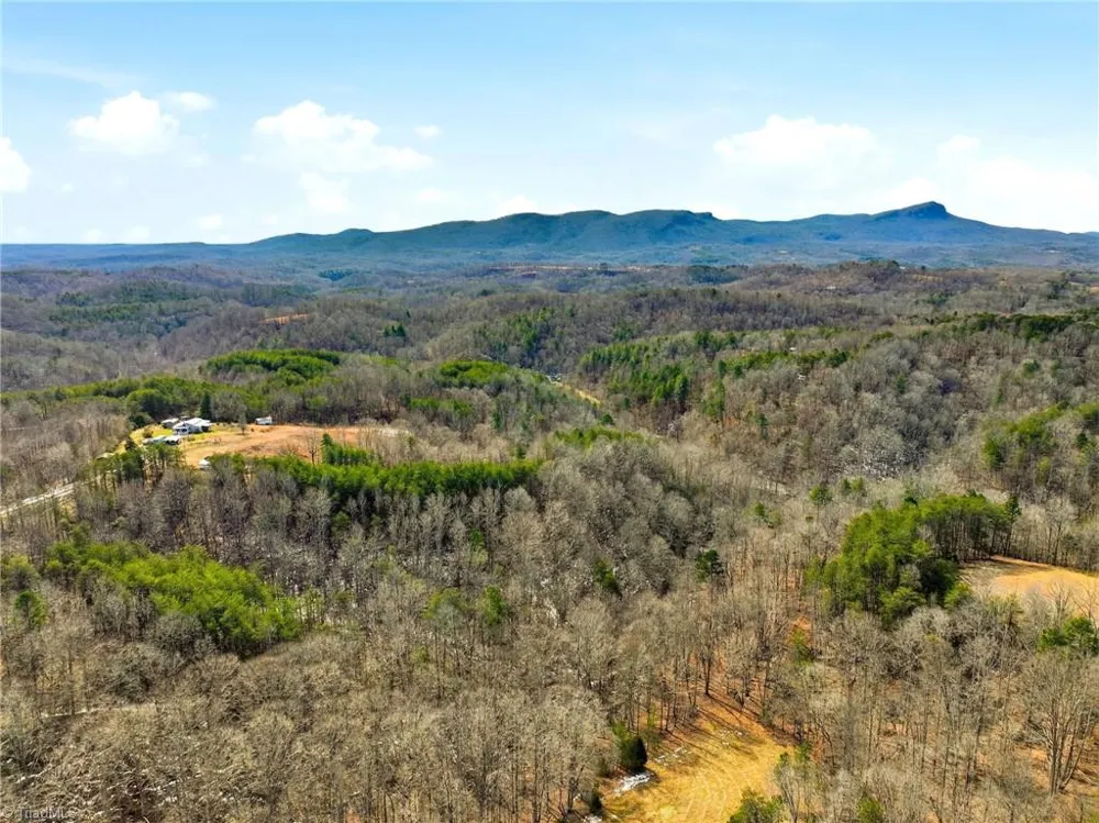 1324 Hardie Mabe Road Danbury, NC 27016
