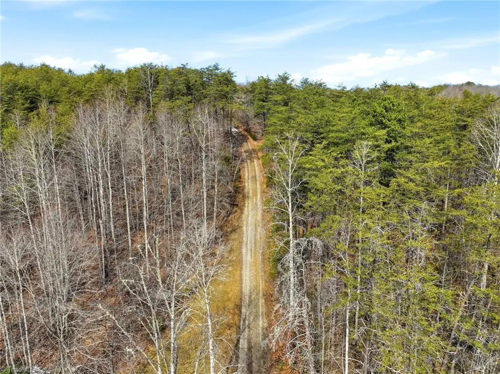 1324 Hardie Mabe Road Danbury, NC 27016