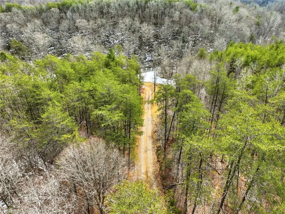 1324 Hardie Mabe Road Danbury, NC 27016