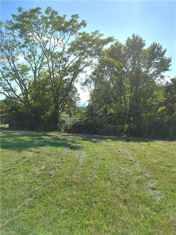 1324 Hardie Mabe Road Danbury, NC 27016