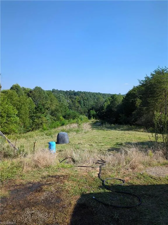 1324 Hardie Mabe Road Danbury, NC 27016