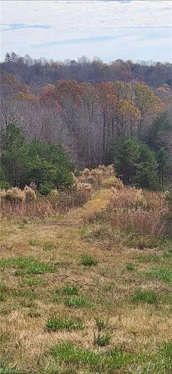 1324 Hardie Mabe Road Danbury, NC 27016