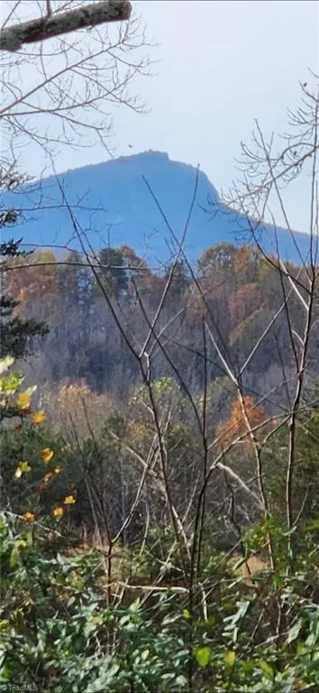 1324 Hardie Mabe Road Danbury, NC 27016