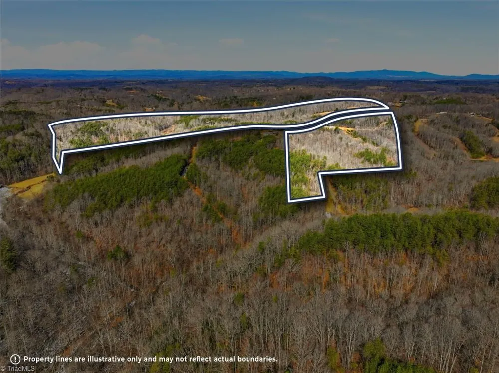 1324 Hardie Mabe Road Danbury, NC 27016