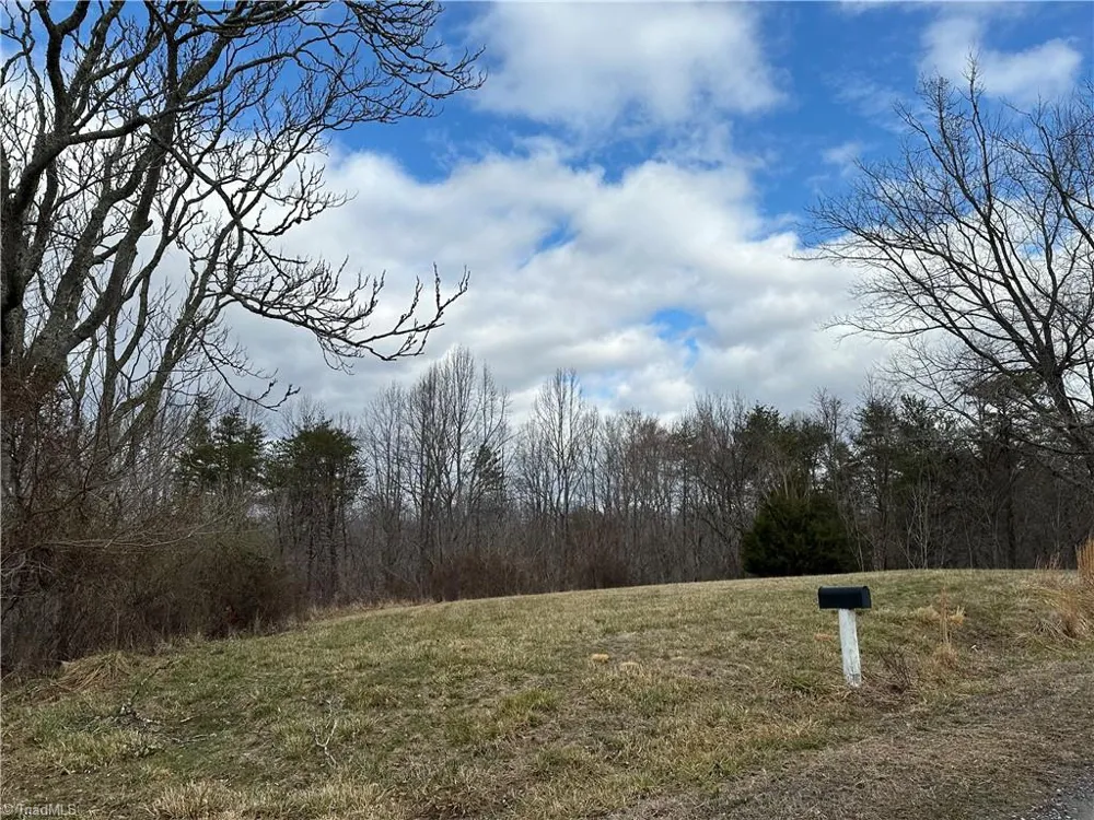 1324 Hardie Mabe Road Danbury, NC 27016