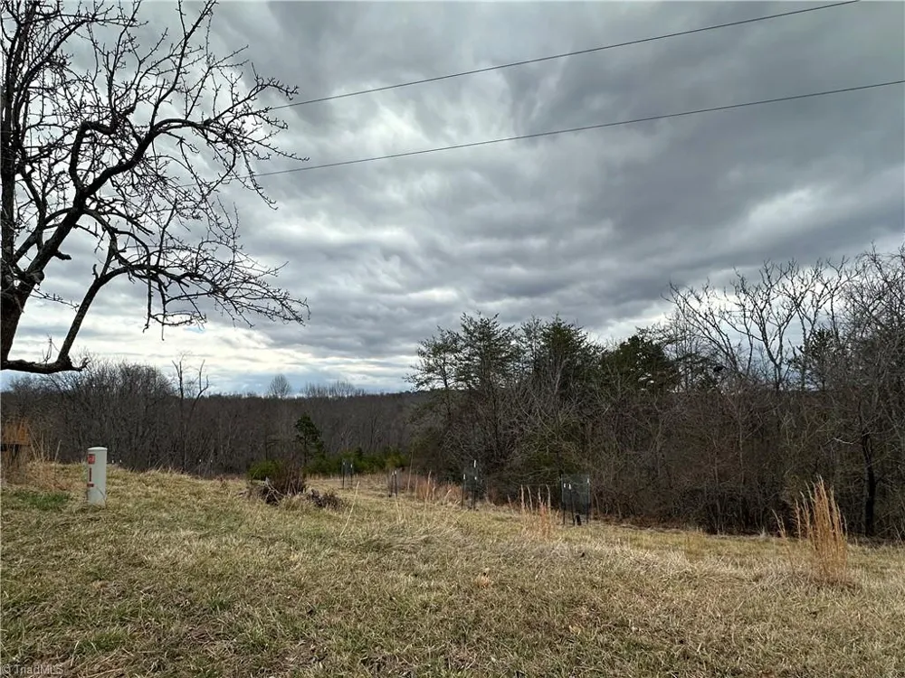 1324 Hardie Mabe Road Danbury, NC 27016