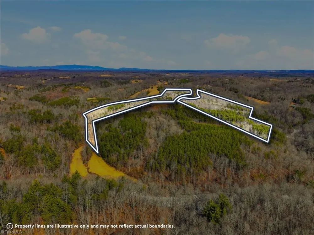 1324 Hardie Mabe Road Danbury, NC 27016