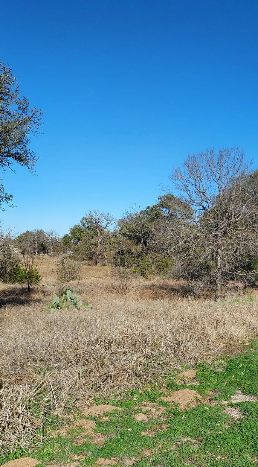 50 Pristine Pass Buchanan Dam, TX 78609