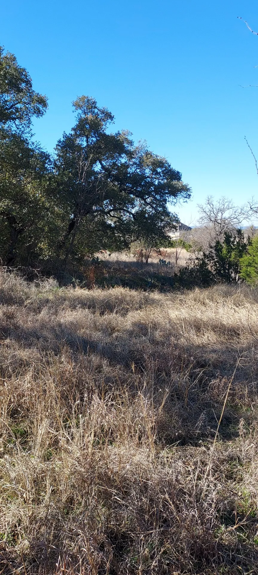 50 Pristine Pass Buchanan Dam, TX 78609