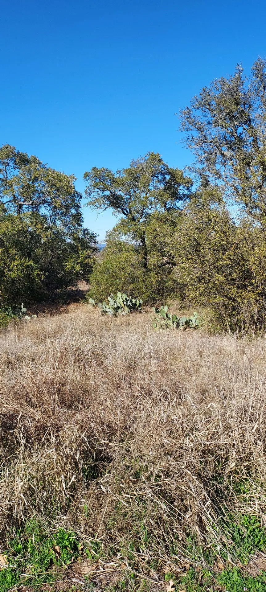 50 Pristine Pass Buchanan Dam, TX 78609