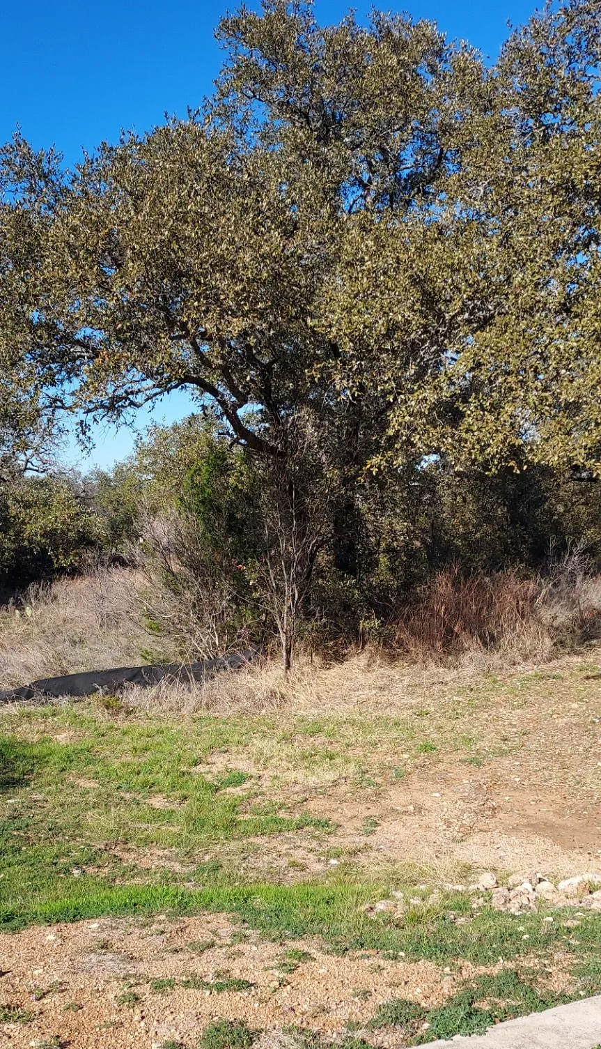 50 Pristine Pass Buchanan Dam, TX 78609