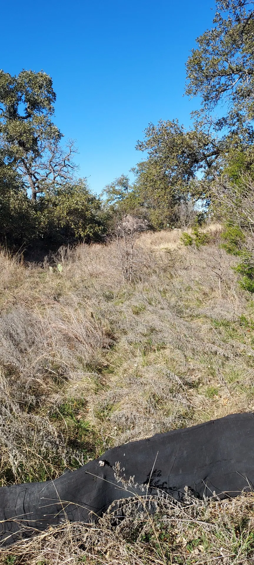 50 Pristine Pass Buchanan Dam, TX 78609