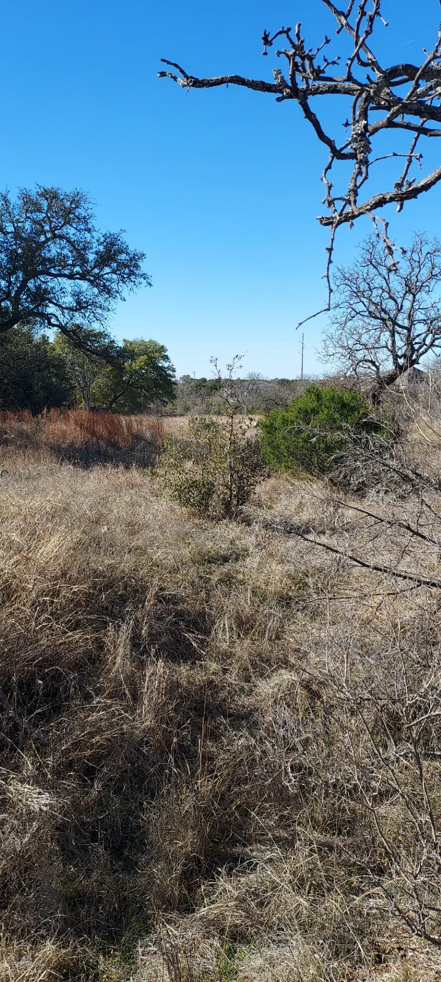 50 Pristine Pass Buchanan Dam, TX 78609