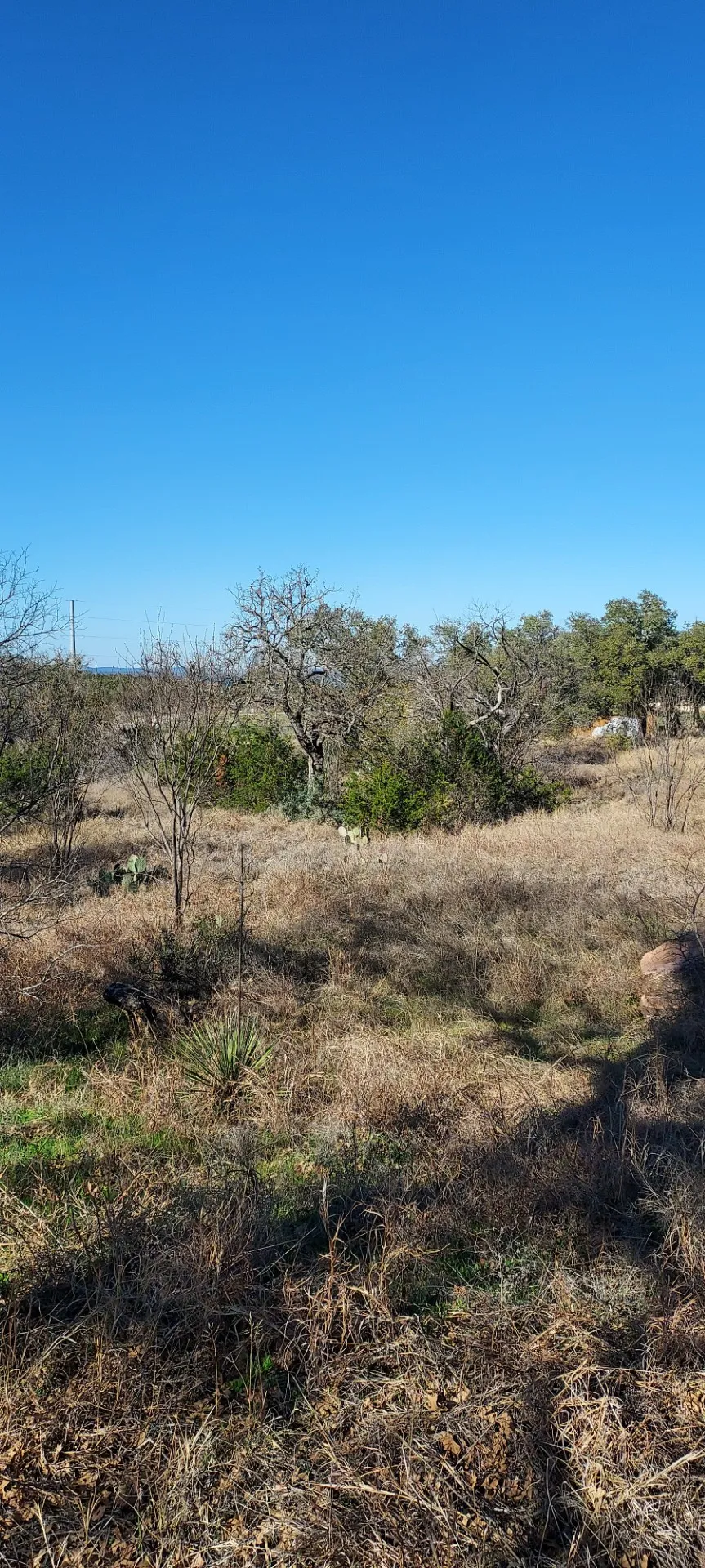 50 Pristine Pass Buchanan Dam, TX 78609
