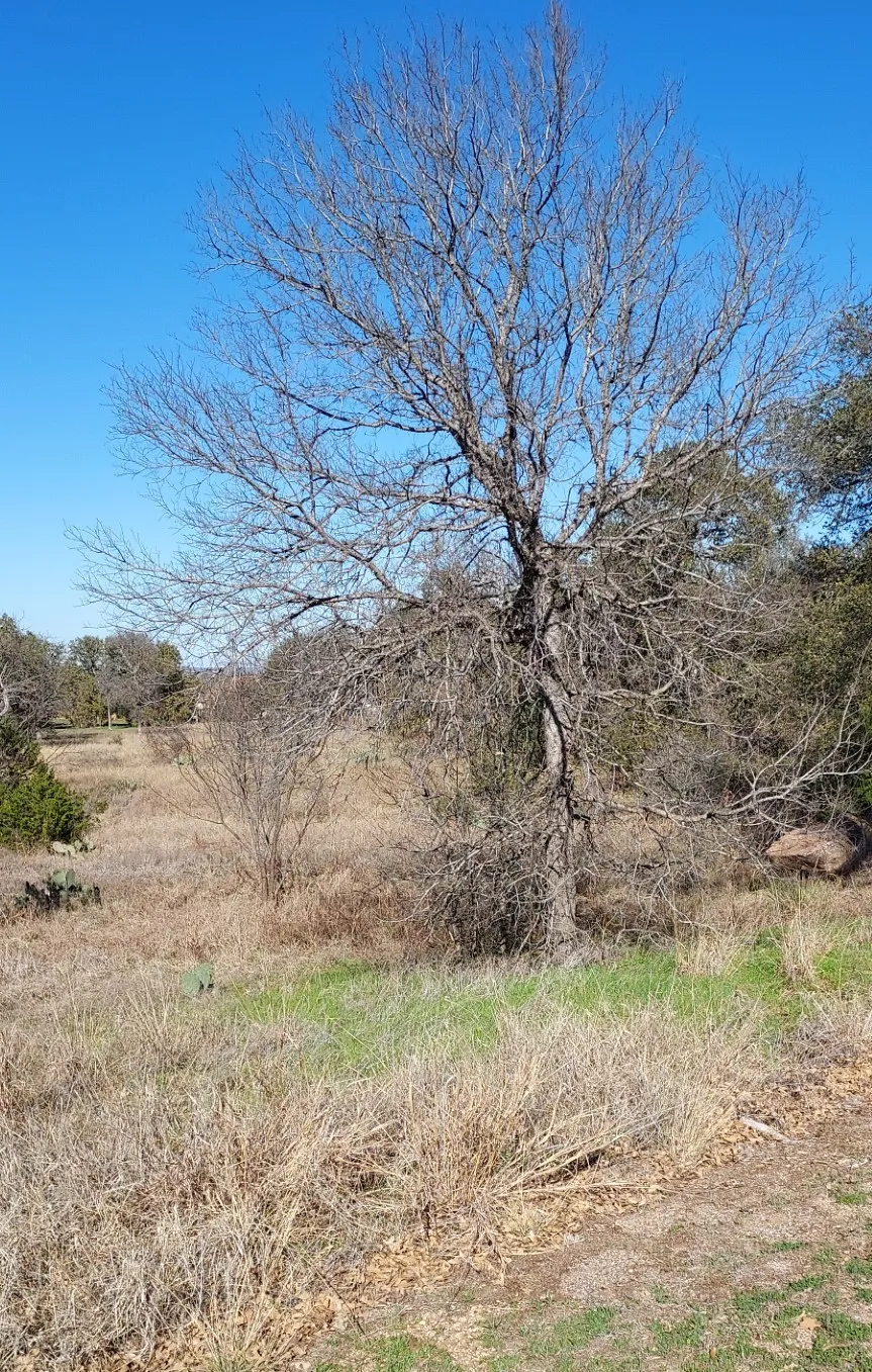 50 Pristine Pass Buchanan Dam, TX 78609