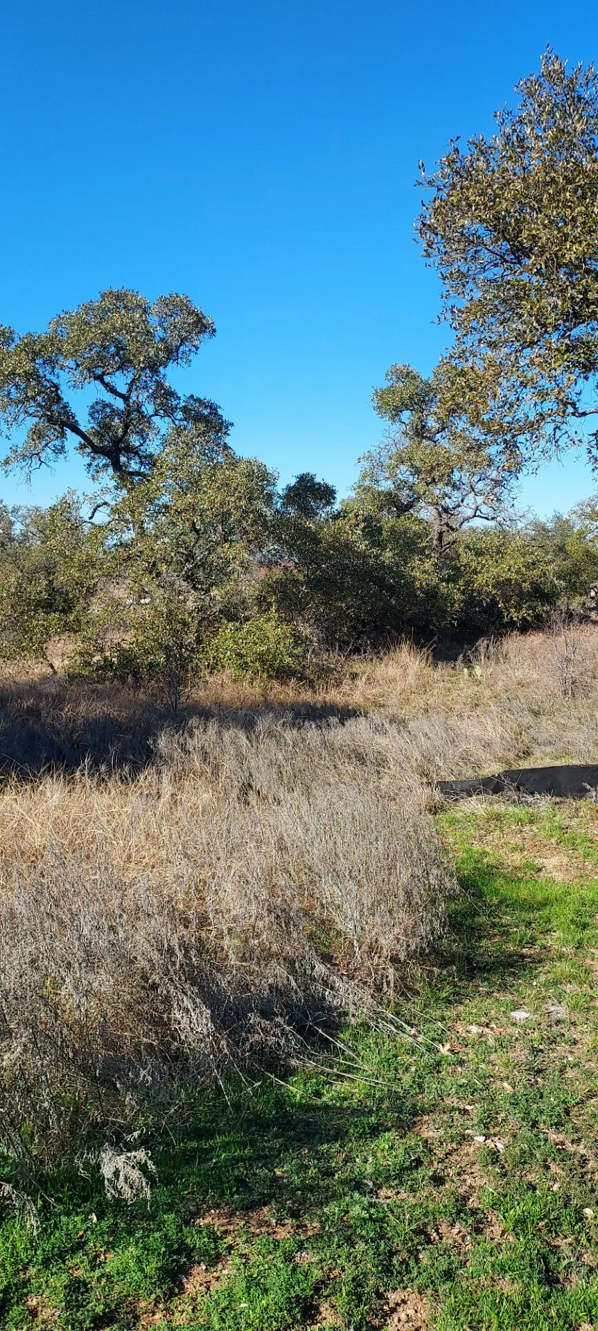 50 Pristine Pass Buchanan Dam, TX 78609