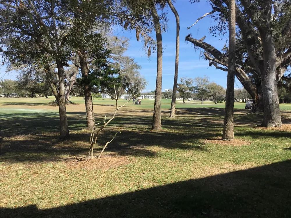 44 COUNTRY CLUB DRIVE #44 Largo, FL 33771