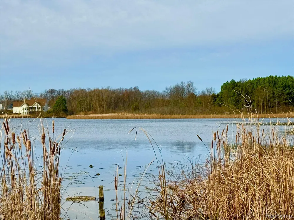 Butcher Road Fenton Charter Township, MI 48430