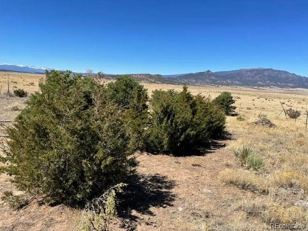 291 Black Hills Walsenburg, CO 81089