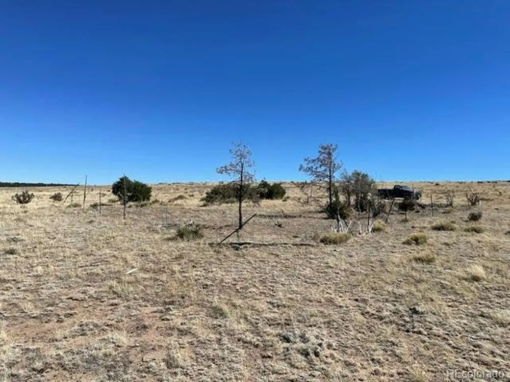 291 Black Hills Walsenburg, CO 81089