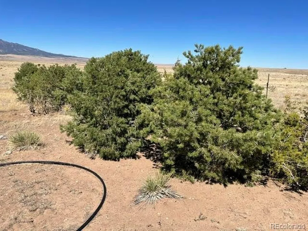 291 Black Hills Walsenburg, CO 81089