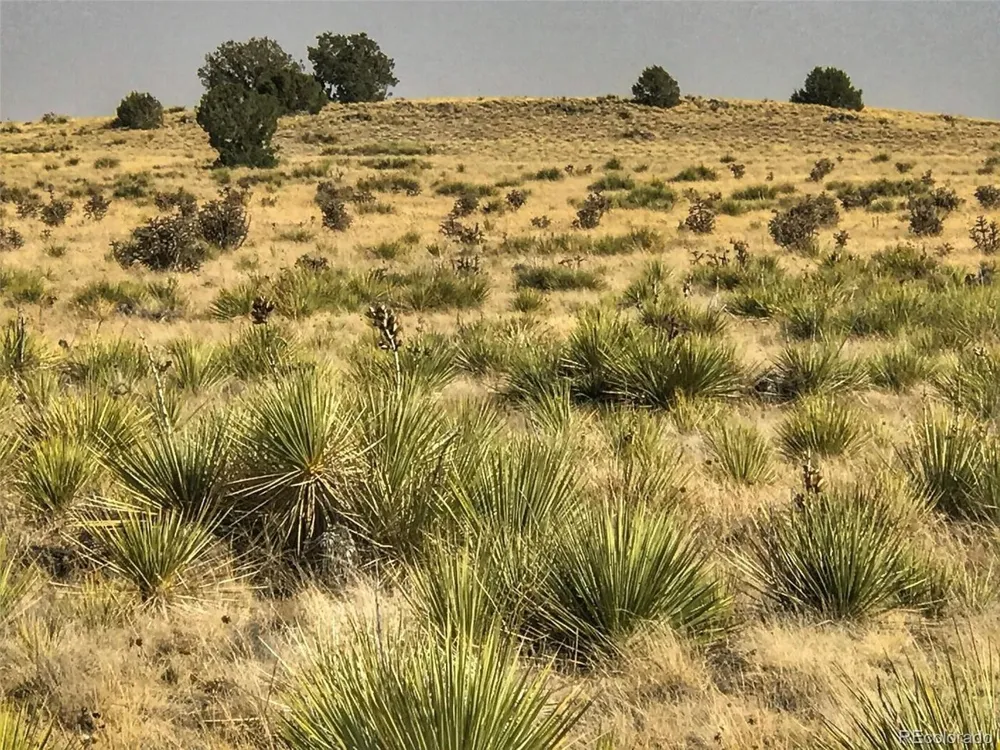 Lot 234 Turkey Ridge Ranch Walsenburg, CO 81089