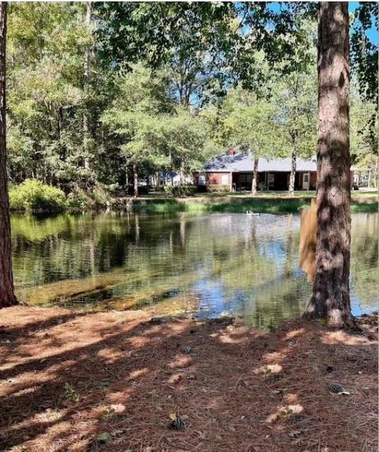 41 Artesian Way Roman Forest, TX 77357