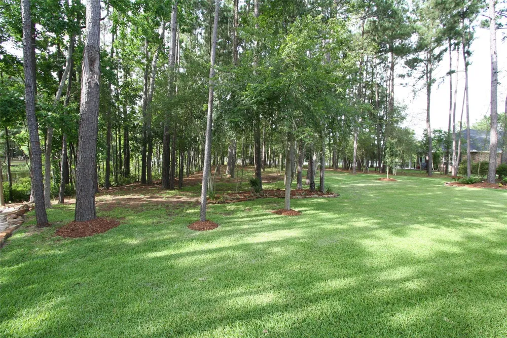 41 Artesian Way Roman Forest, TX 77357