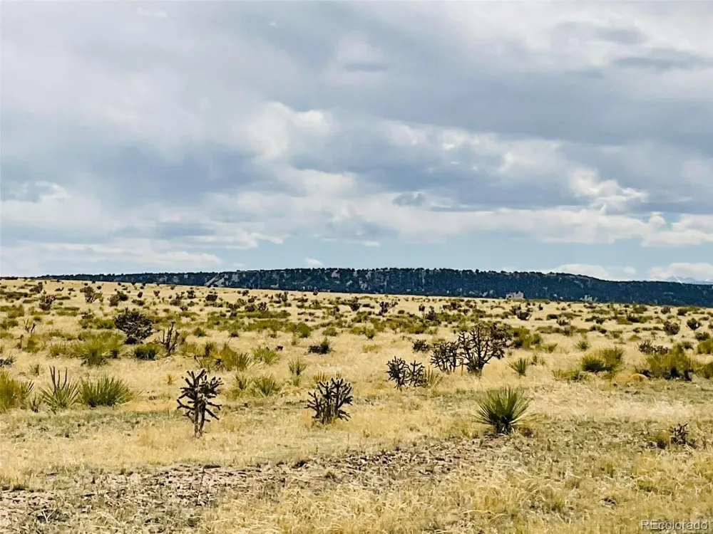 Lot 239 Turkey Ridge Ranch Walsenburg, CO 81089