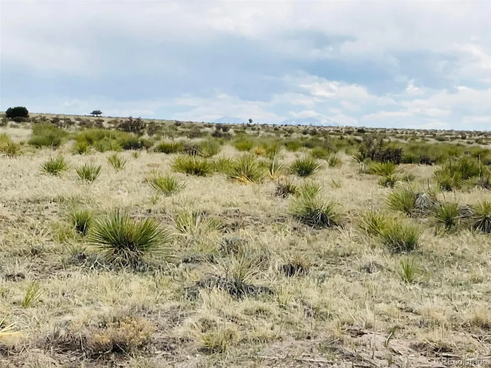 Lot 239 Turkey Ridge Ranch Walsenburg, CO 81089