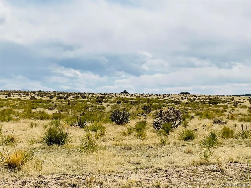 Lot 239 Turkey Ridge Ranch Walsenburg, CO 81089