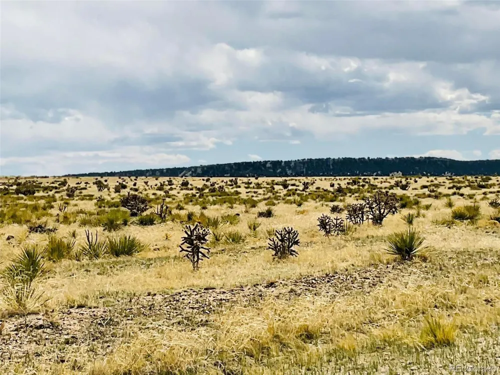 Lot 239 Turkey Ridge Ranch Walsenburg, CO 81089