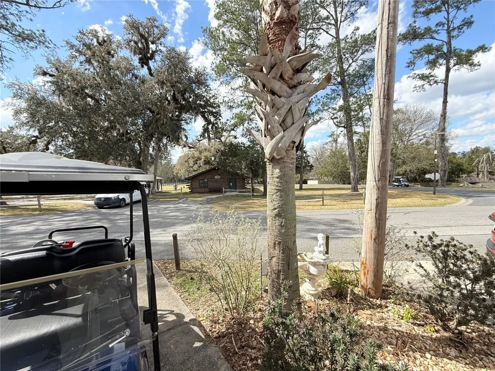2875 NE 102ND AVENUE ROAD Silver Springs, FL 34488