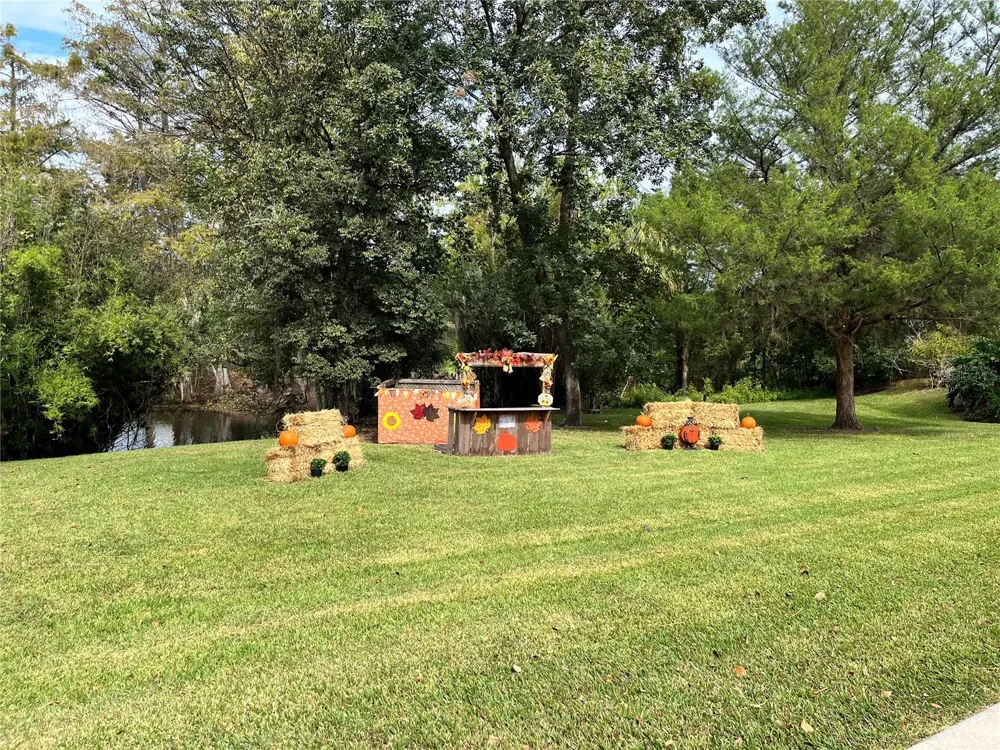 2875 NE 102ND AVENUE ROAD Silver Springs, FL 34488