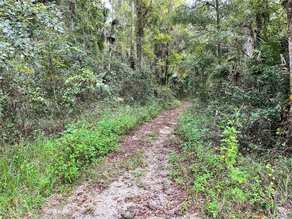 2875 NE 102ND AVENUE ROAD Silver Springs, FL 34488