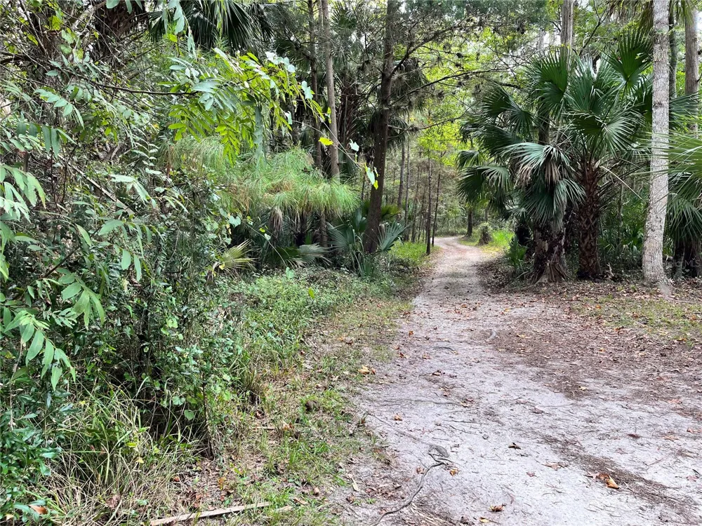 2875 NE 102ND AVENUE ROAD Silver Springs, FL 34488