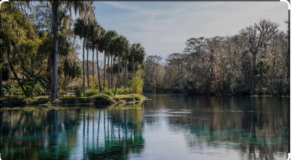 2875 NE 102ND AVENUE ROAD Silver Springs, FL 34488