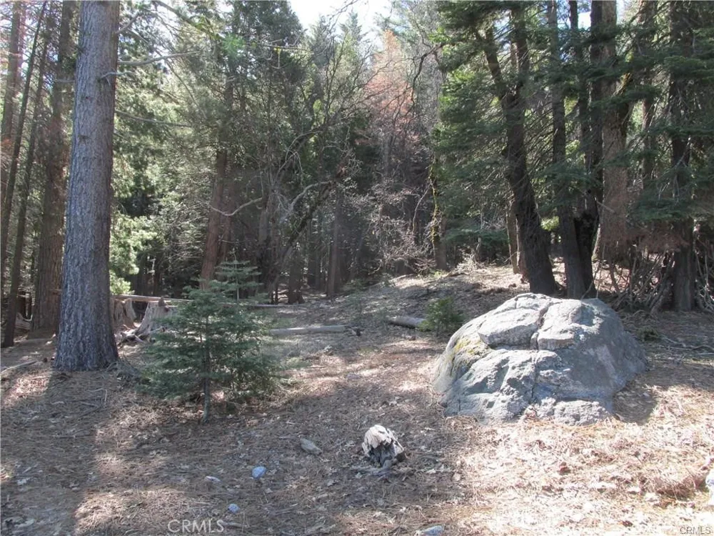 7497 Henness Circle Yosemite, CA 95389