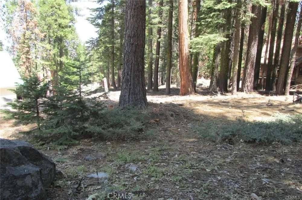 7497 Henness Circle Yosemite, CA 95389