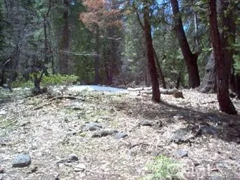 7497 Henness Circle Yosemite, CA 95389